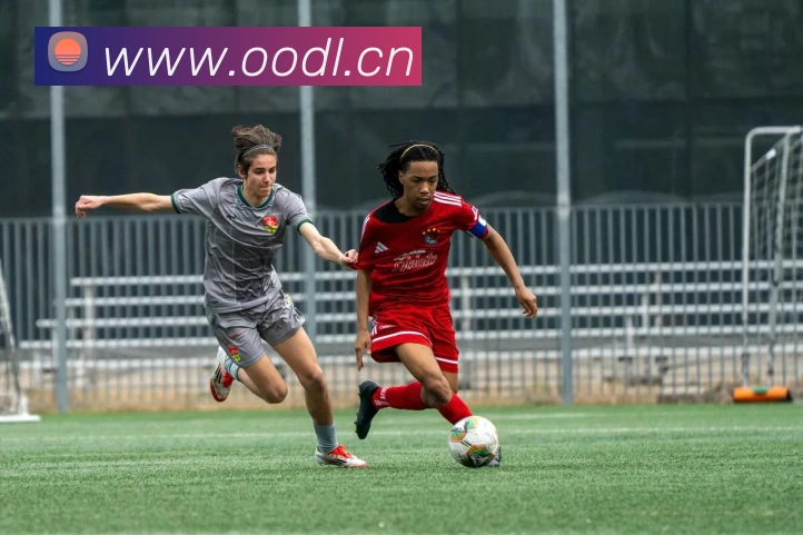 多媒体互动体验