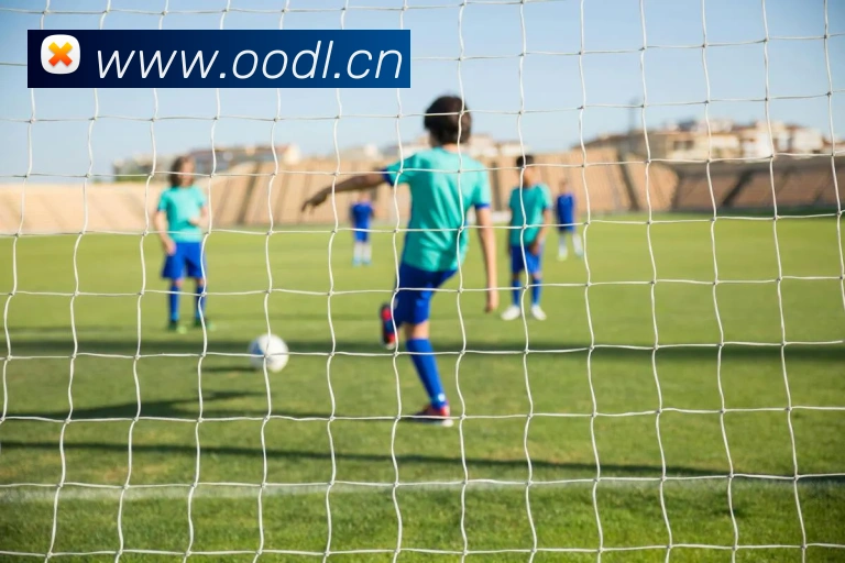 九游在线官方官网APP 高清赛事图